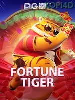 Fortune Tiger game cover